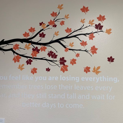 Wall Graphics